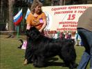 King of Helluland I'm Precious (Imp. Slovakia)