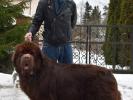 Brown Velvet Buddy von den Schwarzwald Baren (Germ