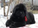 Sent Djons Kasper for Kloofbear