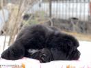 Sent Djons Kasper for Kloofbear