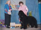 Seabrooks Best Man at Pouch Cove(USA)