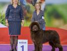 Brown Velvet Buddy von den Schwarzwald Baren (Germ