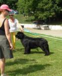 , FCI - CACIB   ()