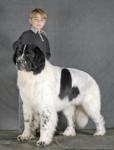    - 2007. Regional Dogshow Stolitsa- 2007