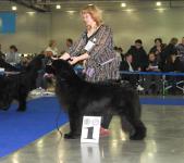 International Dog Show CACIB- FCI Eurasia-1