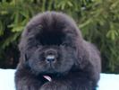 Sent Djons Vivien Li (Rezerv)